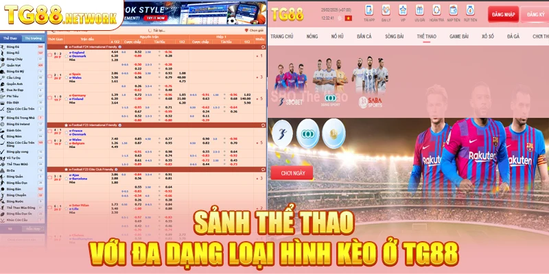 Sảnh thể thao với đa dạng loại hình kèo ở TG88